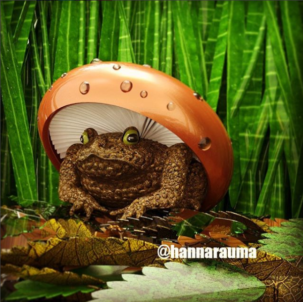Instasammakko